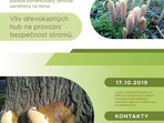 Vliv dřevokazných hub na provozní bezpečnost stromů Vliv dřevokazných hub na provozní bezpečnost stromů