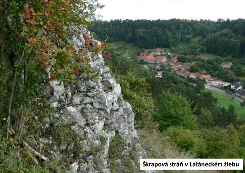 škrapová stráň škrapová stráň