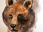 Výstava ilustrací - Ludvík Kunc Výstava ilustrací - Ludvík Kunc