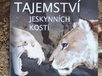 VÝSTAVA - Jeskynní lev VÝSTAVA - Jeskynní lev