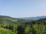 Příběh lesa, který nedorostl Příběh lesa, který nedorostl