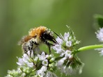 Klimatická stezka přírodní zahradou Klimatická stezka přírodní zahradou