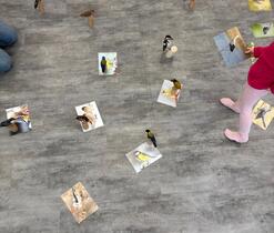 Děti se nejprve se všemi ptáčky důkladně seznámily.