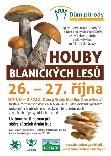 HOUBY VÝSTAVA 2019
