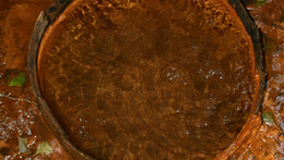 Konference Minerální vody ve Slavkovském lese