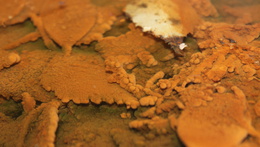 Konference Minerální vody ve Slavkovském lese