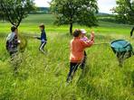 EVVO v kostce – příklady environmentálních témat ve výuce EVVO v kostce – příklady environmentálních témat ve výuce