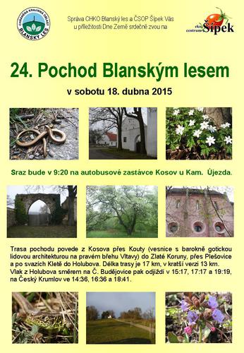 plakat_pochod_2015