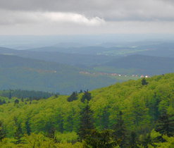 Výhled z Čerchova, L. Janoušková