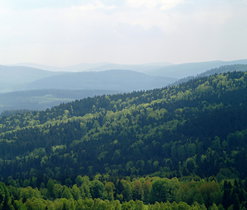 Český les na jaře, pohled z Přimdy, J. Juráková