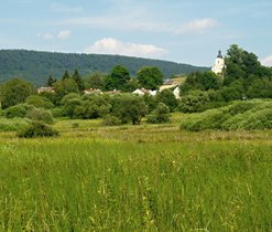 Nemanice, J. Juráková