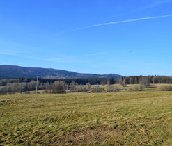 Švarcava, M. Dortová