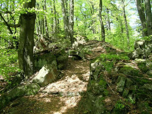 čerchov hřeben_foto Jiří Sladký