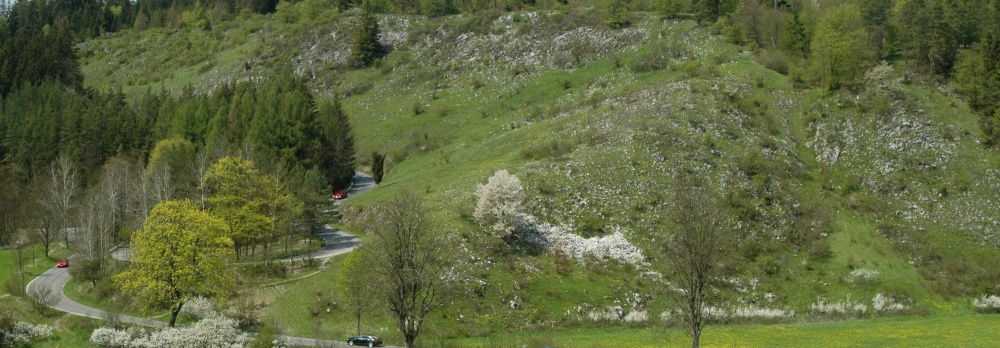 škrapová pole u Vilémovic