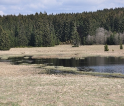 Huťský rybník, foto M. jiran