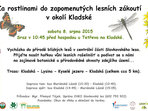 Za rostlinami do zapomenutých lesních zákoutí v okolí Kladské Za rostlinami do zapomenutých lesních zákoutí v okolí Kladské