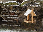 Ptáci v Mariánských Lázních v zimě nespí Ptáci v Mariánských Lázních v zimě nespí