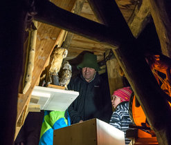NOC V URSUS NOC V URSUS - 9.1.2016