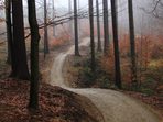 Otevření singletrailů v Moravském krasu Otevření singletrailů v Moravském krasu