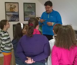 Výukový program - LES A PRALES - Výukový program - LES A PRALES - říjen 2015