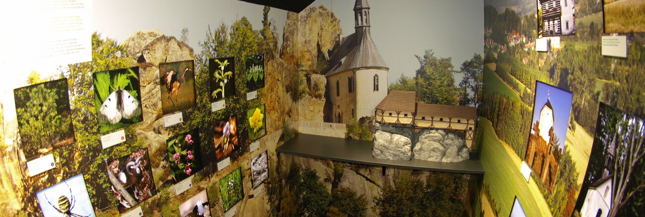 Expozice Sokolí svět