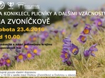 Za konikleci, plicníky a dalšími vzácnostmi na Zvoníčkov Za konikleci, plicníky a dalšími vzácnostmi na Zvoníčkov