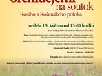 Za orchidejemi na soutok Kosího a Kořenského potoka Za orchidejemi na soutok Kosího a Kořenského potoka