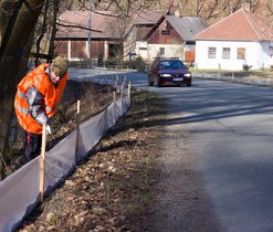 U Křtin a u Jedovnic jsme stavěli přechodné bariéry, které byly po ukončení migrace odstraněny.