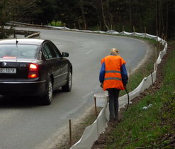 Po zahájení migrace bylo třeba lokality dvakrát denně obejít a ropuchy čekající u zábran přenést přes silnici k rybníčkům.