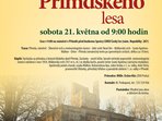 Po hřebeni Přimdského lesa Po hřebeni Přimdského lesa