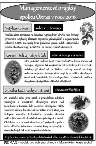 Okras_akce_1