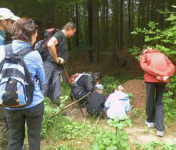 Mraveniště u turistické trasy za chatou Macocha