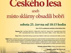 Za rozmanitostmi Českého lesa aneb místo sklárny obsadili bobři