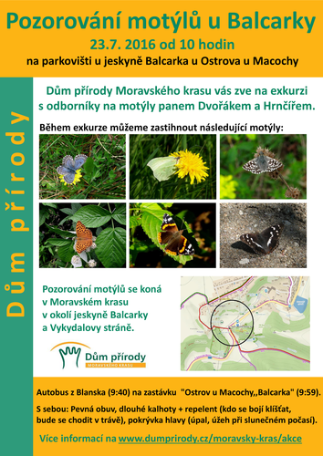 Pozorování motýlů u Balcarky_23_7 (1)