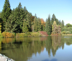 Arboretum