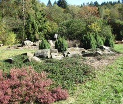 Arboretum