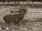 Za jeleny v okolí Kladské Za jeleny v okolí Kladské