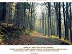Filmový večer Moravskoslezská mysteria Filmový večer Moravskoslezská mysteria