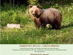 Filmový večer - Dobročský prales, 3D Beskydská zákoutí Filmový večer - Dobročský prales, 3D Beskydská zákoutí