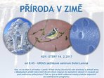 Příroda v zimě 