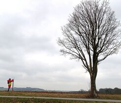 Víkendové kurzy citlivého řezu ovocných dřevin