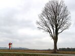 Série přednášek o ovocných dřevinách Série přednášek o ovocných dřevinách
