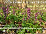 Do jarního luhu na Želině u Ohře Do jarního luhu na Želině u Ohře