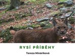 Krajina a lidé: Rysí příběhy Krajina a lidé: Rysí příběhy