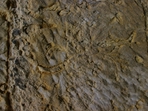 Archeologie Příhrazských skal I