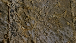 Archeologie Příhrazských skal I