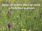 Za orchidejemi do parku v Mariánských Lázních 2017 Za orchidejemi do parku v Mariánských Lázních 2017