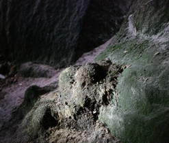 Kořenové stalagmity