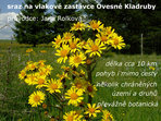 Okolo Podhory přes vody, lesy a hory Okolo Podhory přes vody, lesy a hory