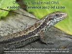 Do hadího údolí za lovci lebek